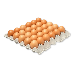 HUEVO MISTER HUEVO TIPO A PLANCHA